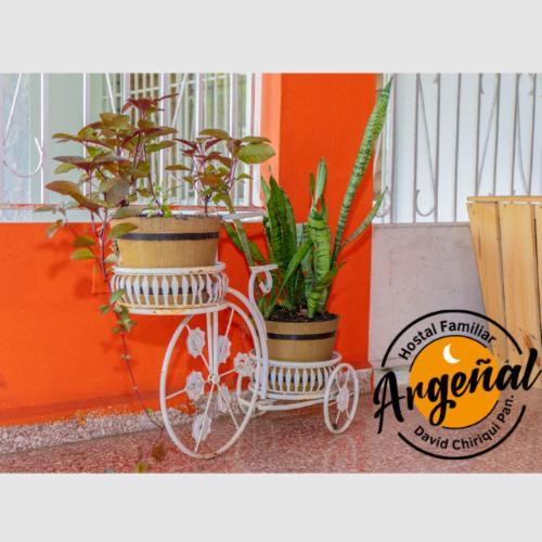 Hostal Familiar Argenal - David Exteriör bild